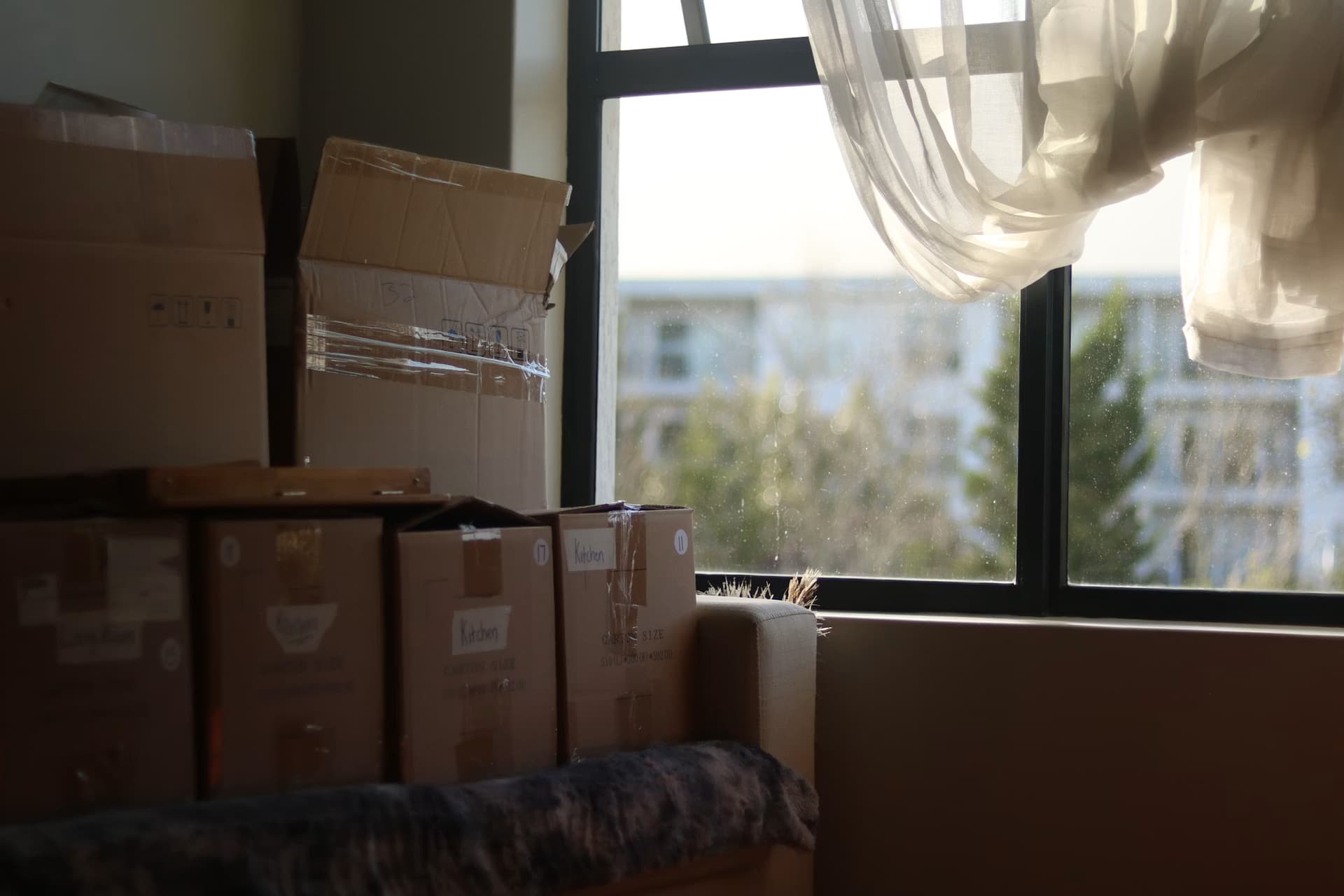 WashU Move-In Tips: What Nobody Tells You About Moving Off-Campus